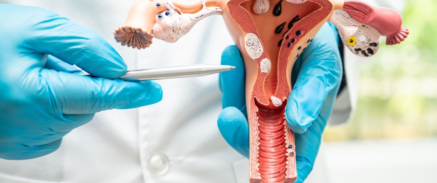 Kadın Hastalıkları ve Doğum