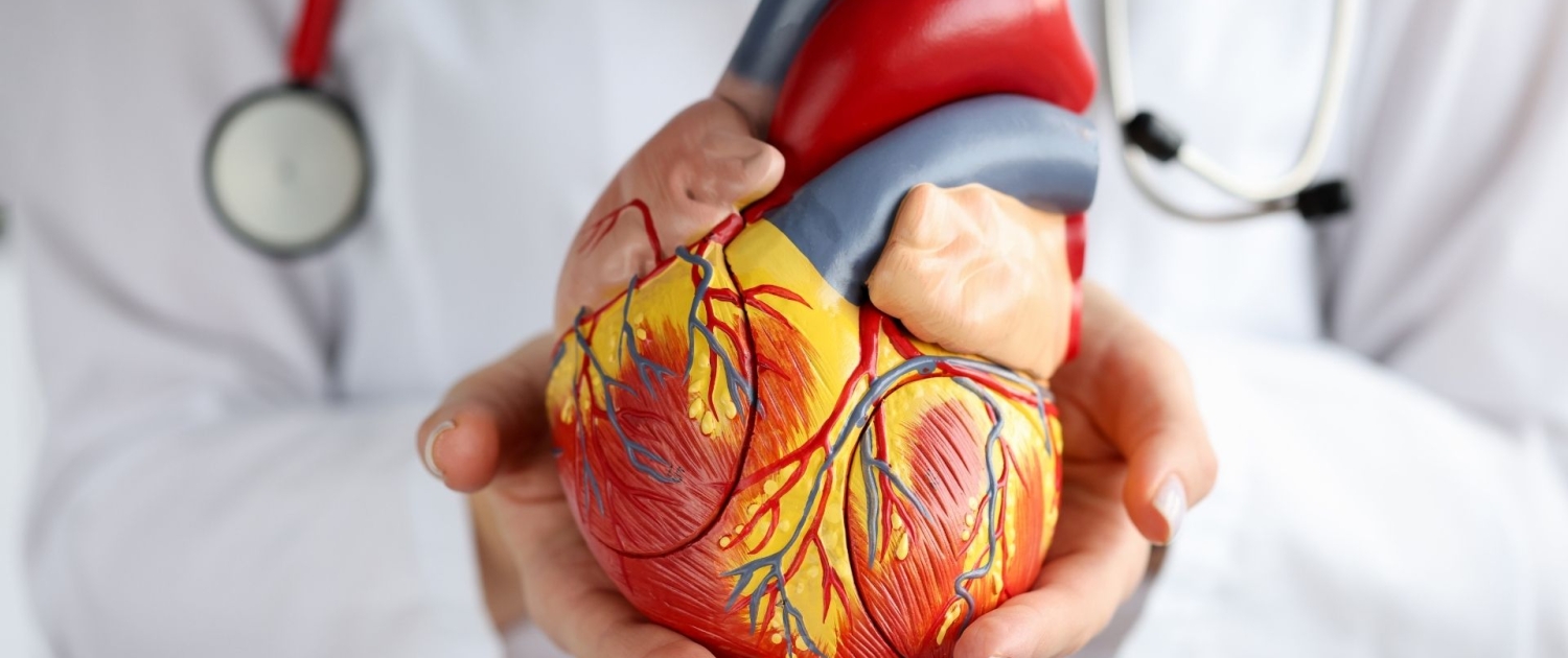 Kardiyovasküler Cerrahi