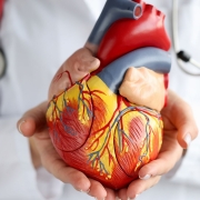 Kardiyovasküler Cerrahi