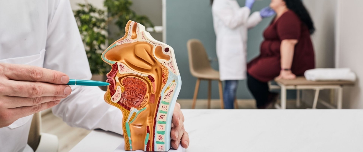 Kulak Burun ve Boğaz