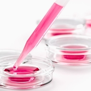 Tüp Bebek Merkezleri