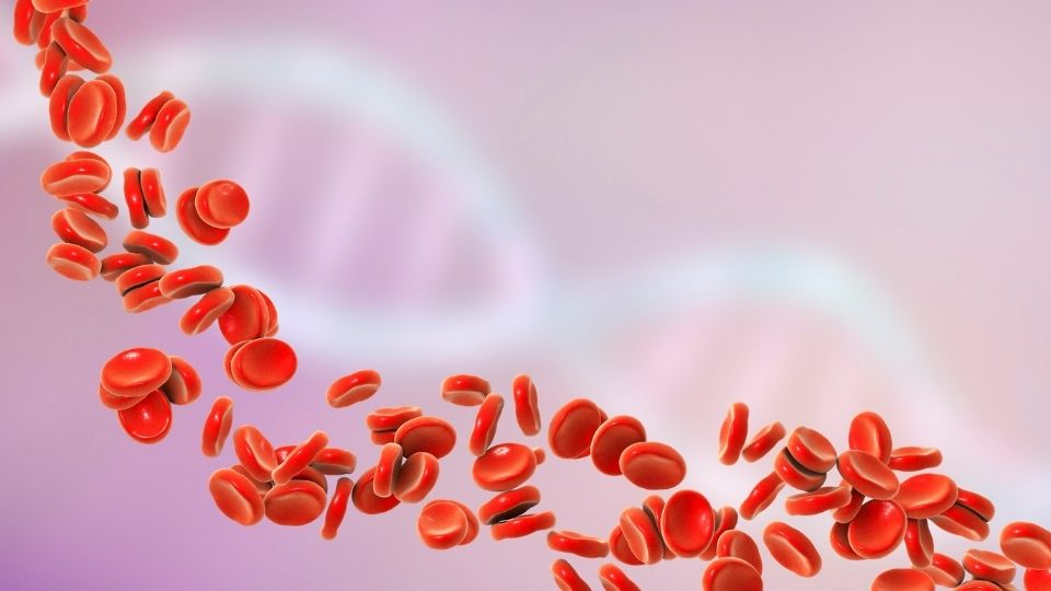 cocuk-hematolojisini